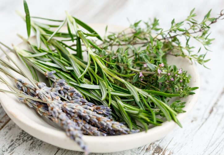 La magia de las plantas: pequeños rituales que nos conectan con la naturaleza
