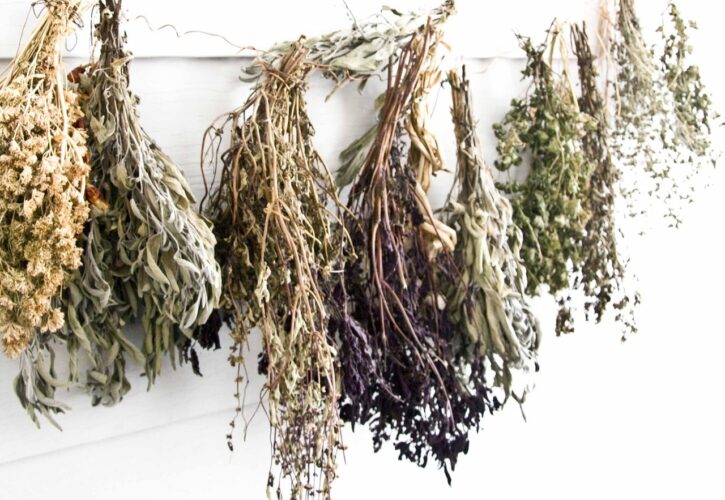Rutina natural para septiembre: cómo cuidar piel, pelo y cuerpo con plantas y cosmética sólida