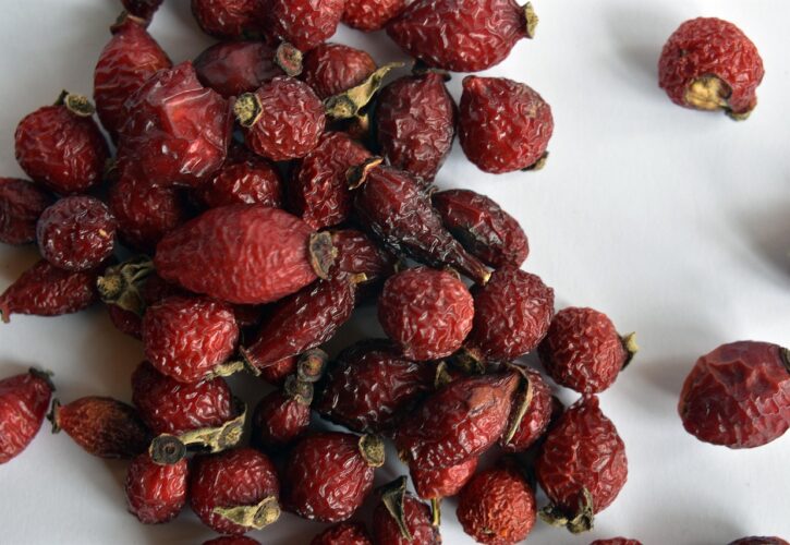 5 plantas medicinales que puedes recolectar en septiembre (y cómo usarlas con cariño)