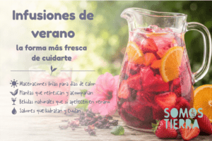 infusiones de verano, te refresca y cuidan al mismo tiempo