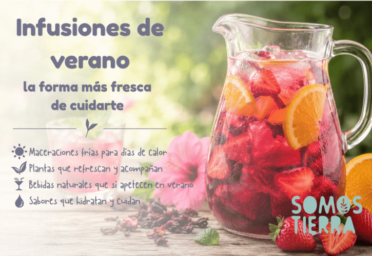 Infusiones de verano: recetas refrescantes para cuidar tu cuerpo de forma natural
