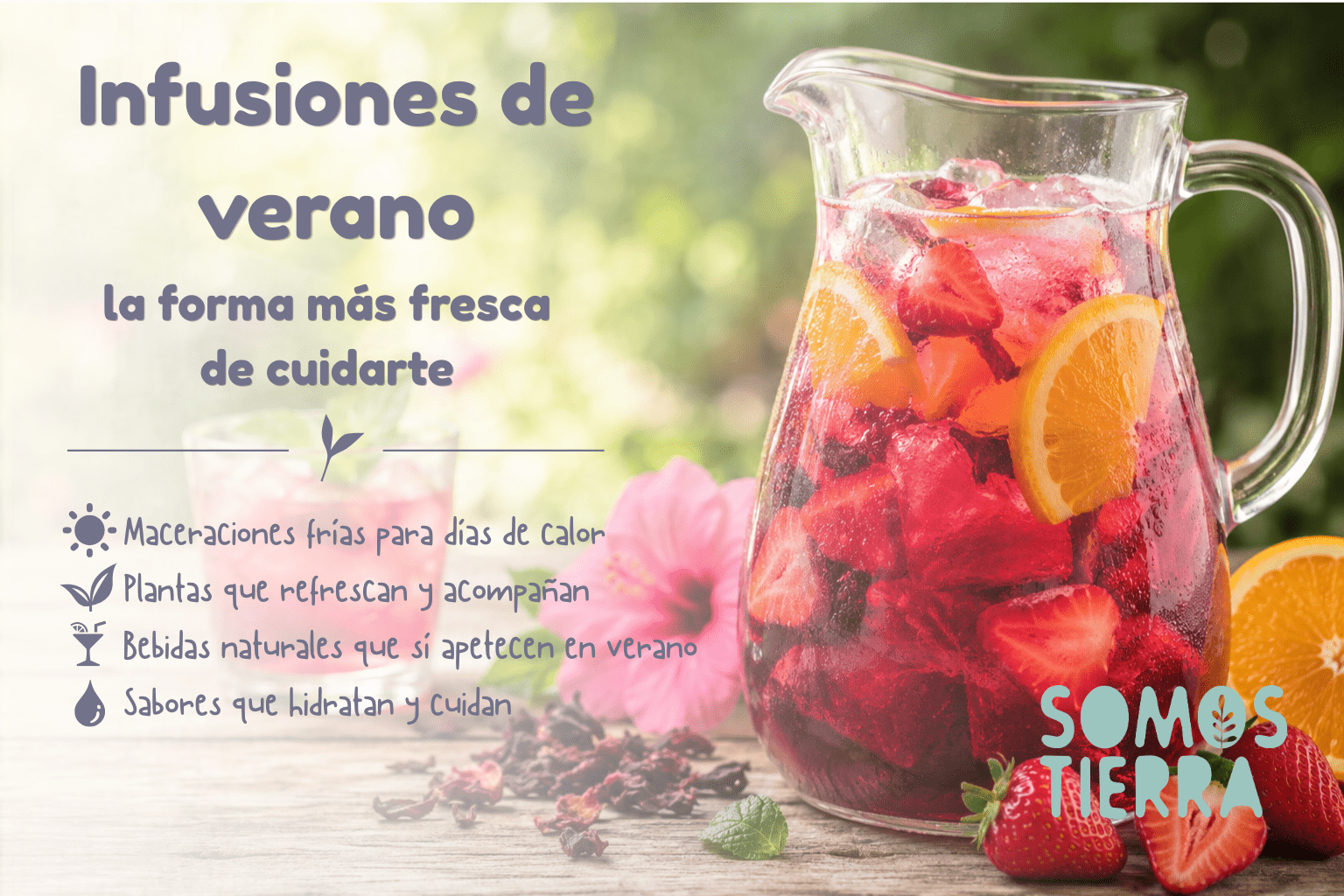 infusiones de verano, te refresca y cuidan al mismo tiempo