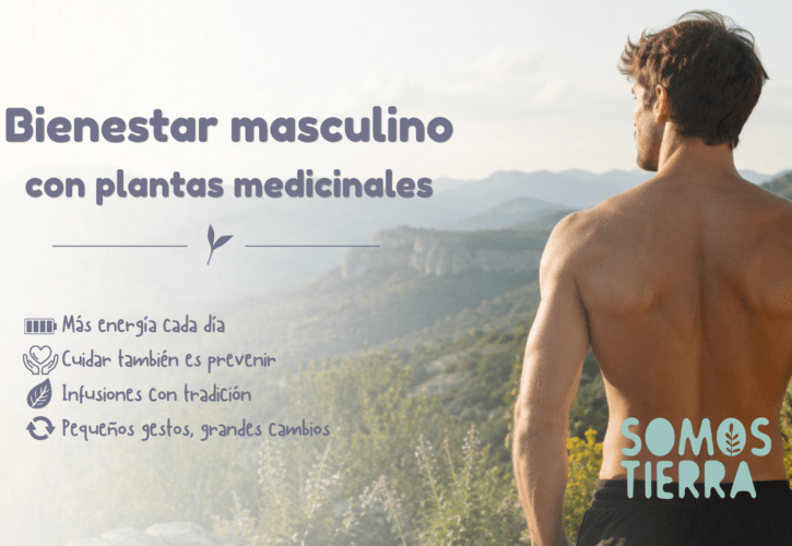 Plantas medicinales para el bienestar masculino: infusiones y preparados naturales que merece la pena conocer