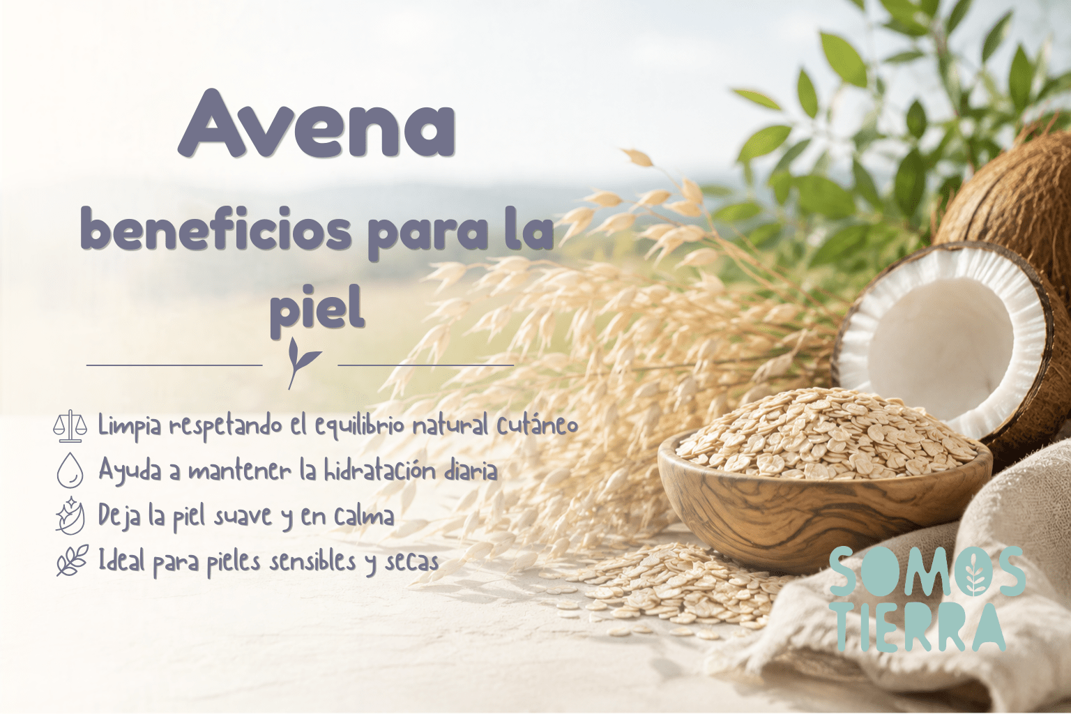 Beneficios de la avena para la piel en la cosmética natural